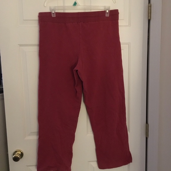 Honey Bunch Sweatsuit Set 1x - Picture 6 of 6